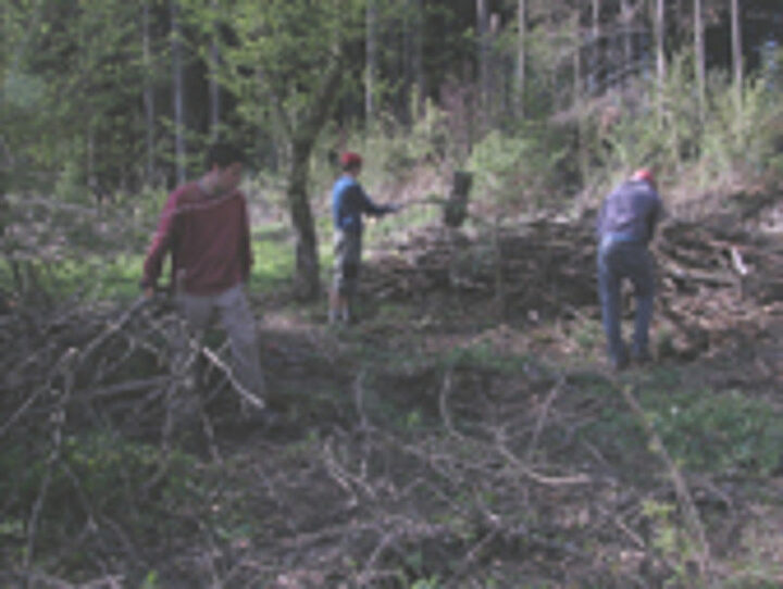Gehölzpflege - Naturwerk